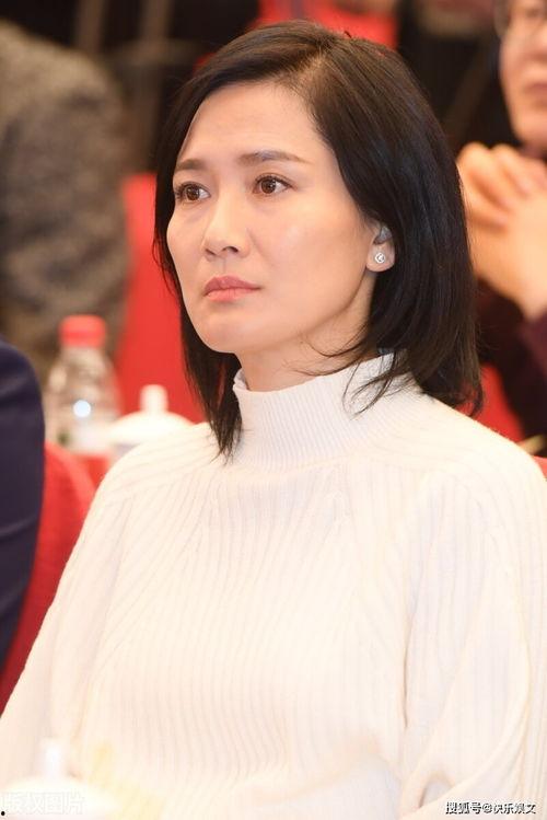 演员潘雨辰图片,光影交织下的璀璨星辉