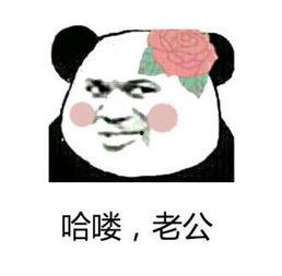 搞笑无节操图片,无节操搞笑图片大盘点